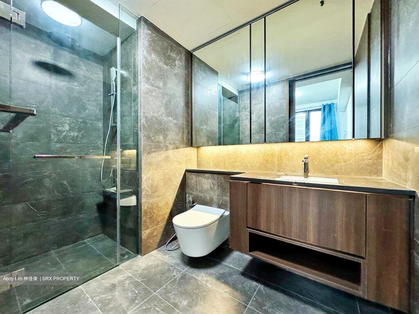 Kopar At Newton (D9), Apartment #503203341
